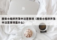 西安小程序開發(fā)中注意事項（西安小程序開發(fā)中注意事項是什么）