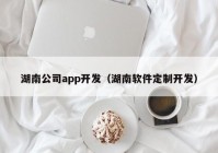 湖南公司app開(kāi)發(fā)（湖南軟件定制開(kāi)發(fā)）