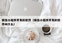 微信小程序開發(fā)的軟件（微信小程序開發(fā)的軟件叫什么）