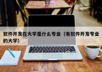 軟件開發(fā)在大學是什么專業(yè)（有軟件開發(fā)專業(yè)的大學）