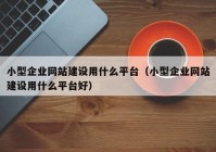 小型企業(yè)網(wǎng)站建設(shè)用什么平臺(tái)（小型企業(yè)網(wǎng)站建設(shè)用什么平臺(tái)好）