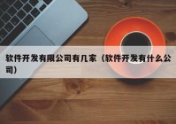 軟件開發(fā)有限公司有幾家（軟件開發(fā)有什么公司）