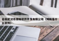 名稱武漢市博暢軟件開發(fā)有限公司（博暢是什么軟件）