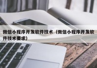 微信小程序開發(fā)軟件技術（微信小程序開發(fā)軟件技術要求）