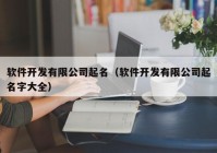 軟件開發(fā)有限公司起名（軟件開發(fā)有限公司起名字大全）