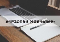 軟件開發(fā)公司分析（中國軟件公司分析）