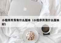 小程序開發(fā)有什么版本（小程序開發(fā)什么版本好）