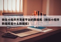 微信小程序開發(fā)者平臺的數(shù)據(jù)庫（微信小程序數(shù)據(jù)庫是什么數(shù)據(jù)庫）