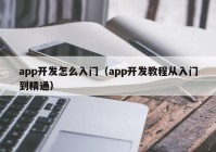 app開(kāi)發(fā)怎么入門（app開(kāi)發(fā)教程從入門到精通）