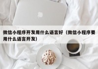 微信小程序開發(fā)用什么語言好（微信小程序要用什么語言開發(fā)）