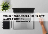 蘋果app開發(fā)者選項在哪里打開（蘋果手機app開發(fā)者哪里打開）