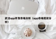 武漢app開發(fā)市場分析（app市場現(xiàn)狀分析）