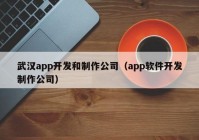 武漢app開發(fā)和制作公司（app軟件開發(fā)制作公司）