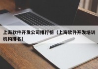 上海軟件開發(fā)公司排行榜（上海軟件開發(fā)培訓(xùn)機構(gòu)排名）