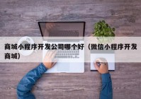 商城小程序開發(fā)公司哪個好（微信小程序開發(fā)商城）