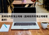 昆明軟件開發(fā)公司哪（昆明軟件開發(fā)公司哪家最好）